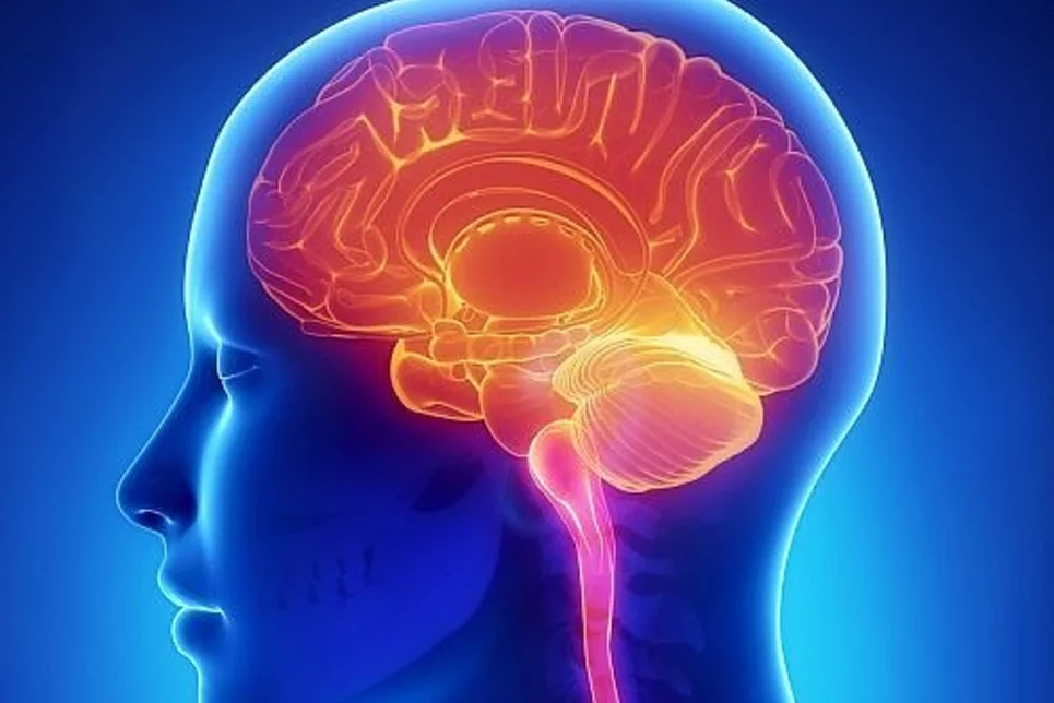 Una terapia neuroprotectora podría permitir detener o ralentizar el proceso neurodegenerativo. Imagen: DIARIO MÉDICO.