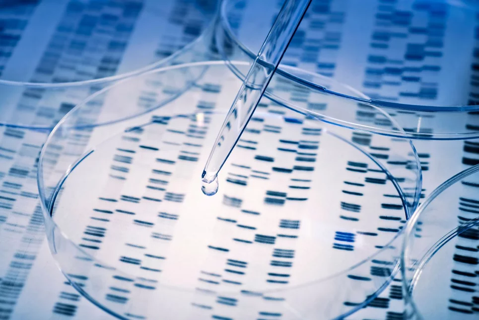 Las nuevas técnicas de secuenciación genómica apoyan la identificación de patógenos. Foto: SHUTTERSTOCK. 