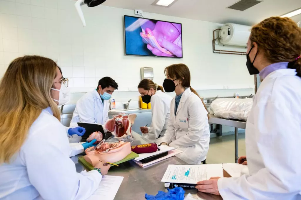 Clase sobre el aparato digestivo en la Sala de Disección de la Facultad de Medicina de la Universidad Autónoma de Madrid. Foto: MAURICIO SKRYCKY.