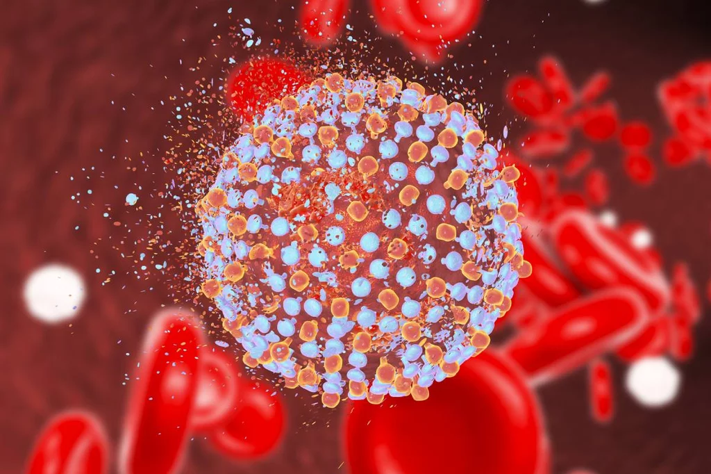 Para alcanzar el objetivo de la eliminaciÃ³n de la hepatitis C recomiendan el cribado a los mayores de 50 aÃ±os que nunca se hayan hecho la prueba.