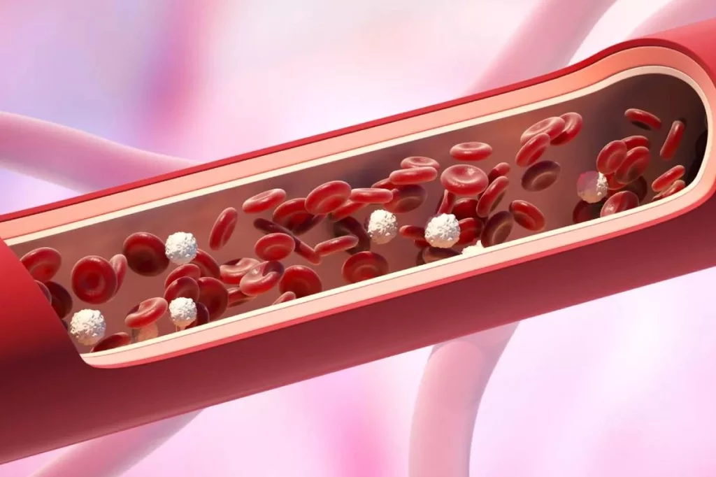 La aterosclerosis establecida se trata actualmente desde varios enfoques farmacológicos. Foto: DM. 