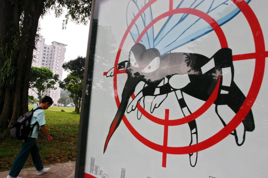 Fotografía de archivo, de septiembre de 2005, de un estudiante que pasa por delante de un cartel que urge a tomar medidas contra la reproducción de los mosquitos, insecto que provocó la propagación del dengue en Singapur. Foto: EFE. 