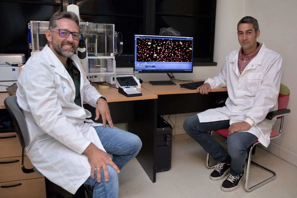 Los investigadores Gabriel Bretones y Alejandro Piñeiro, ambos del Departamento de Bioqumica y Biologa Molecular de la Universidad de Oviedo. Foto: UNIVERSIDAD DE OVIEDO. 
