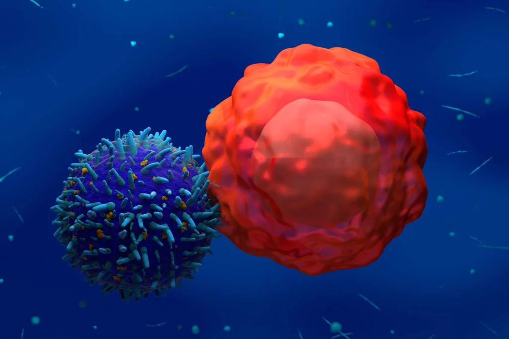 Las modificaciones mediante bioingenierÃa en las cÃ©lulas CAR-T permiten que su actividad aumente Ãºnicamente en la cercanÃa del tumor o que pueda regularse a demanda. 