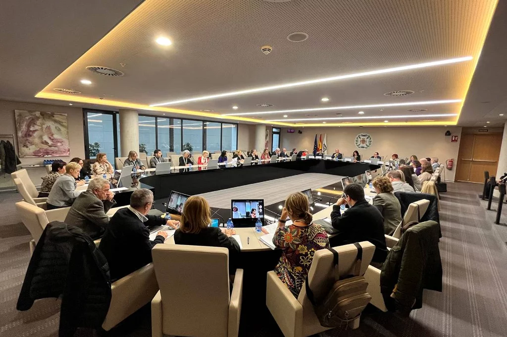 El Pleno del Consejo General de EnfermerÃa (CGE) ha abordado en su reuniÃ³n en Madrid temas clave para la profesiÃ³n. Foto: CGE 