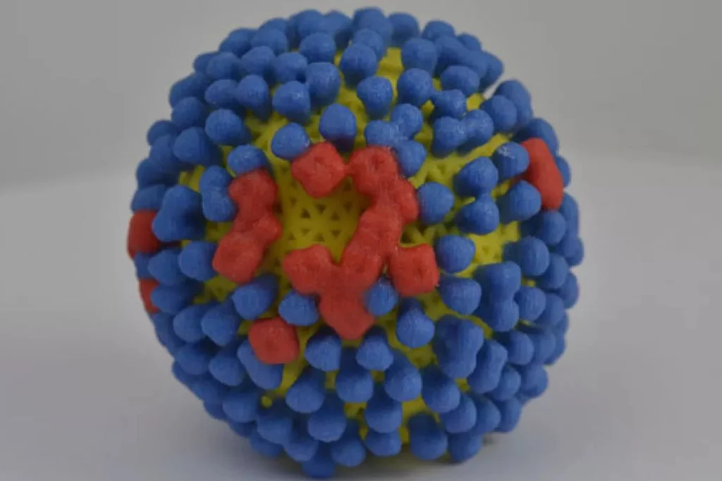 El virus de la gripe, como el VIH y los coronavirus tienen cubierta externa lipÃdica. Foto: DM. 