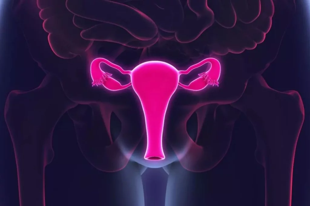 El cáncer de endometrio es el segundo ginecológico más frecuente en pa�ses desarrollados. FOTO: DM. 