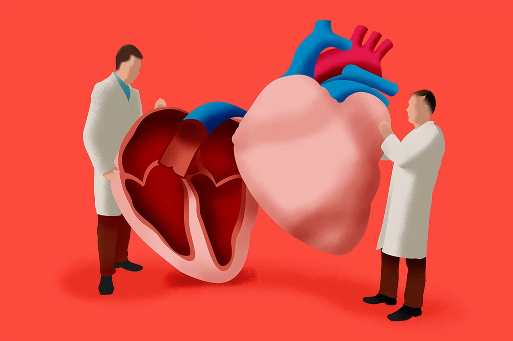 La internalización del Servicio de Cardiología se fundamenta en un acuerdo entre La Rioja y Navarra. Ilustración: GABRIEL SANZ