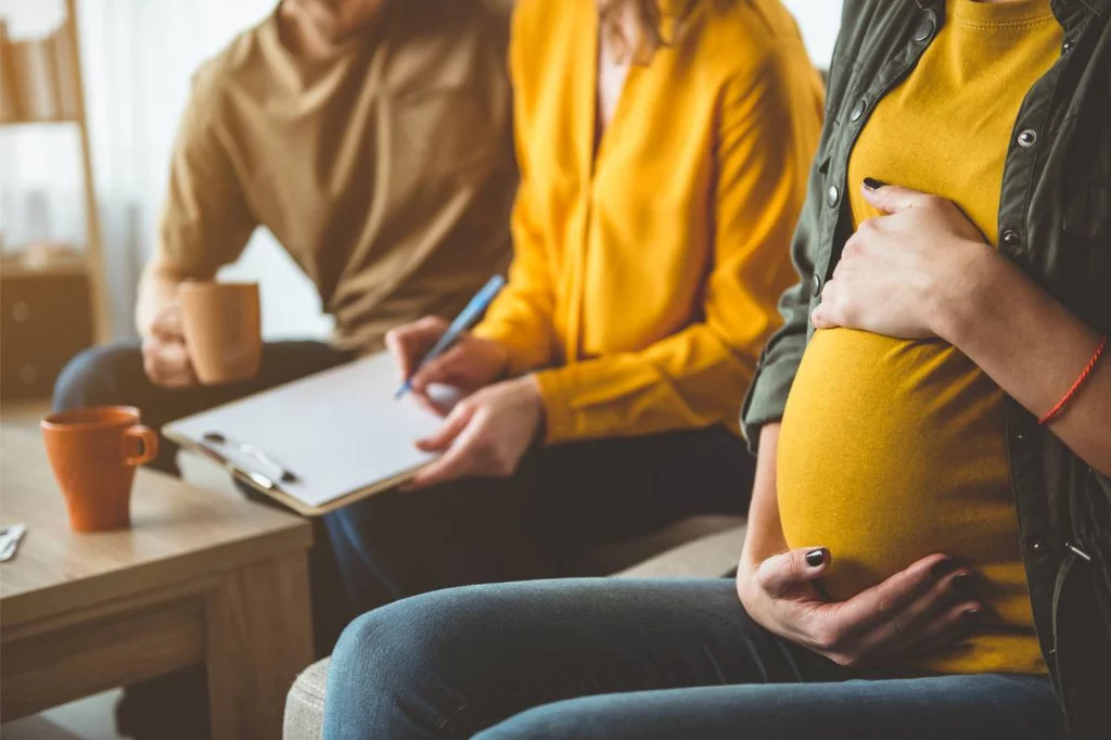 La autora plantea cómo se podría regular la gestación por sustitución altruista para que tuviera las máximas garantías a la hora de respetar los derechos de la gestante. Foto: SHUTTERSTOCK