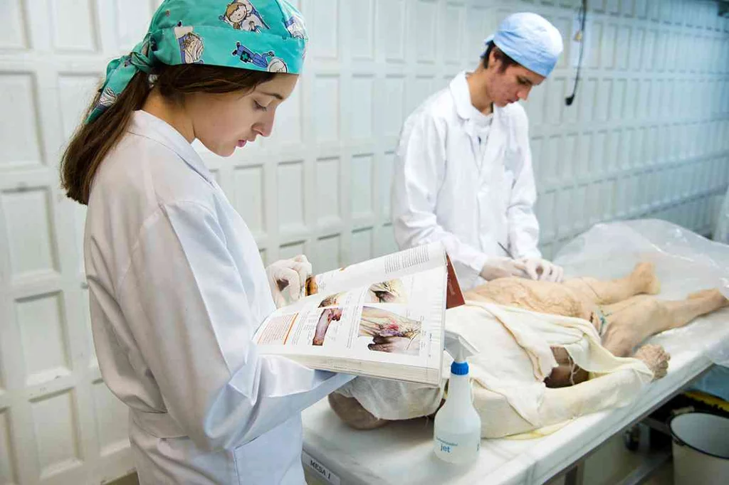 Estudiantes de Medicina, diseccionando un cadáver. Foto: UCM/TRIBUNA COMPLUTENSE.