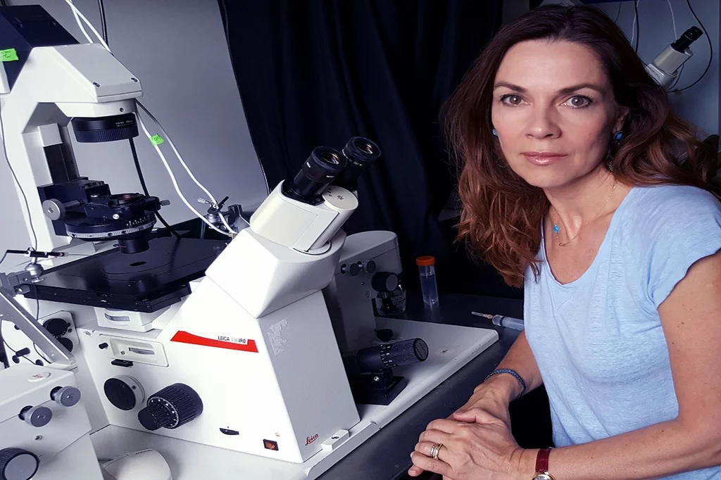 Magda Zernicka-Goetz, en su laboratorio. Foto: SIMON ZERNICKI-GLOVER.