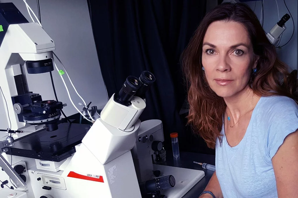 Magda Zernicka-Goetz, en su laboratorio. Foto SIMON ZERNICKI-GLOVER.