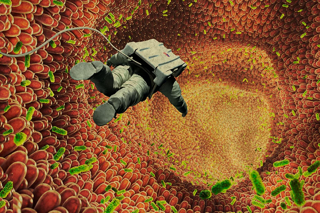 Los estudios ya apuntan que el paciente se beneficiarÃ¡ de la exploraciÃ³n del â€˜universoâ€™ de la microbiota intestinal. IlustraciÃ³n: GABRIEL SAINZ