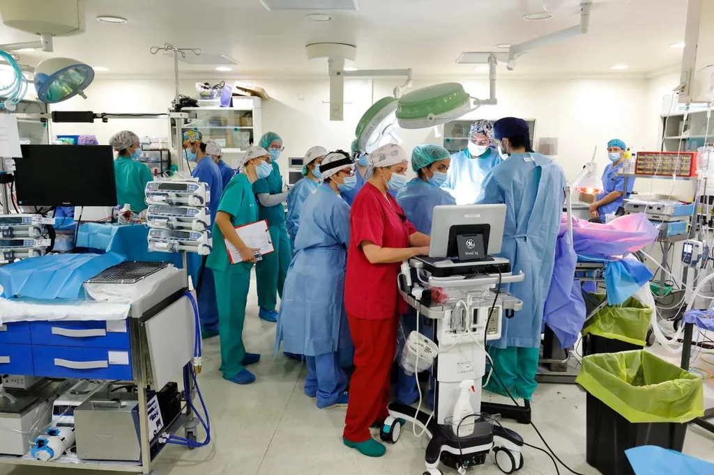 El proyecto CaixaResearch Placenta Artificial logra una supervivencia de 12 das con buen estado fetal. Foto: FUNDACIÓN LA CAIXA