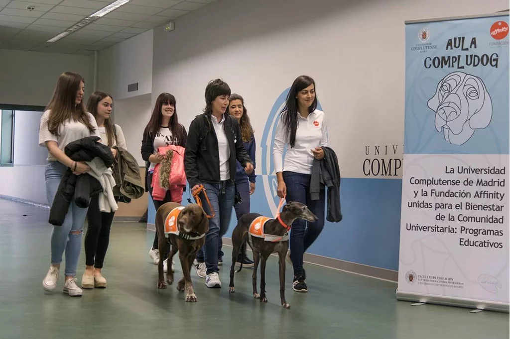 La UCM y la Fundación Affinity pusieron en marcha en 2019 'Compludog', un programa de terapia asistida con animales de compañ�a para reducir el estés y la ansiedad de los estudiantes. Foto: UCM.