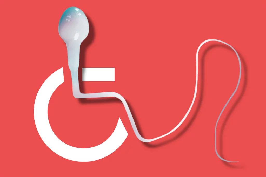 Hay evidHay evidencia que sugiere que la calidad y cantidad de espermatozoides ha disminuido en las Ãºltimas dÃ©cadas. IlustraciÃ³n: GABRIEL SANZ.encia que sugiere que la calidad y cantidad de espermatozoides ha disminuido en las Ãºltimas dÃ©cadas. IlustraciÃ³n: GABRIEL SANZ.