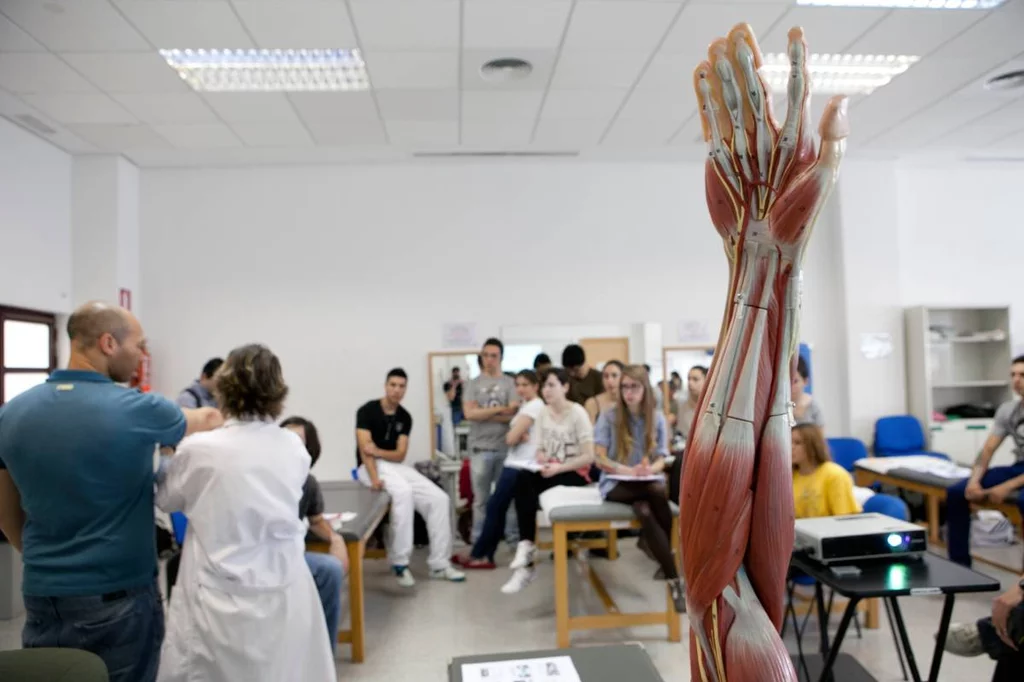 Los retrasos que acumula Aneca en la acreditación docente agravan el déficit de profesores que sufren las facultades de Medicina, especialmente en las asignaturas clínicas. Foto: UNIVERSIDAD MIGUEL HERNÁNDEZ.