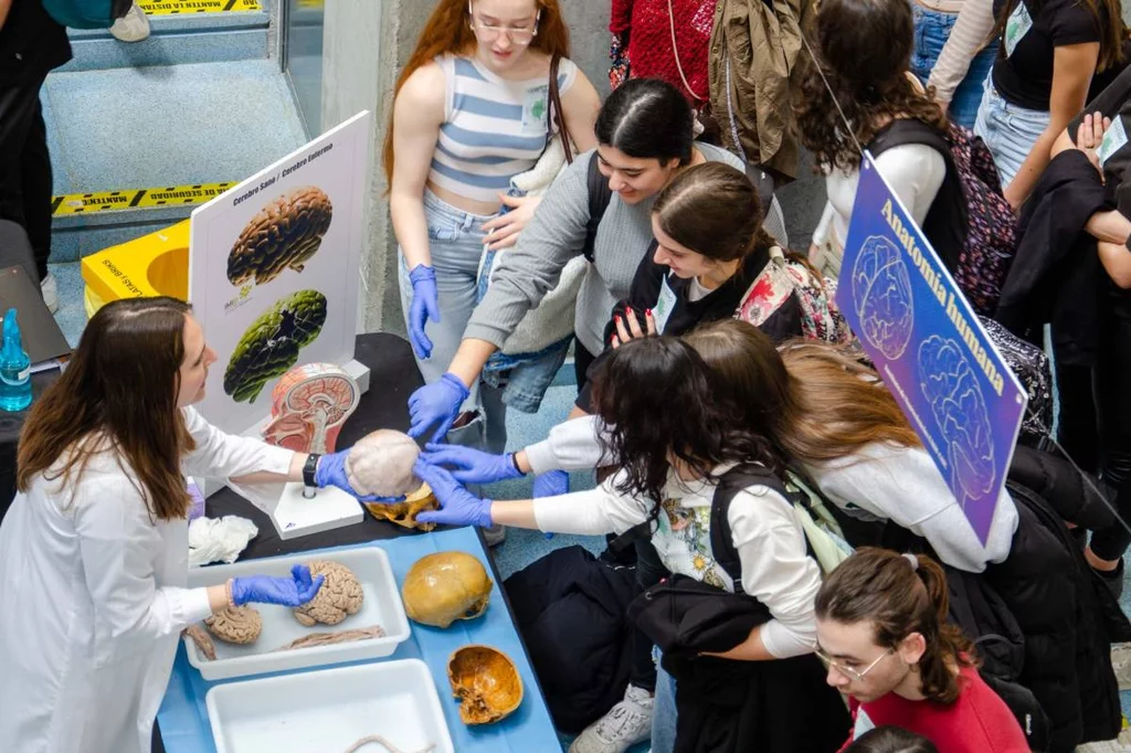 Una de las actividades celebradas en la edición de este año de la Semana del Cerebro, que organizan conjuntamente en Alicante el CSIC y el Instituo de Neurociencias. Foto: CSIC-UMH.