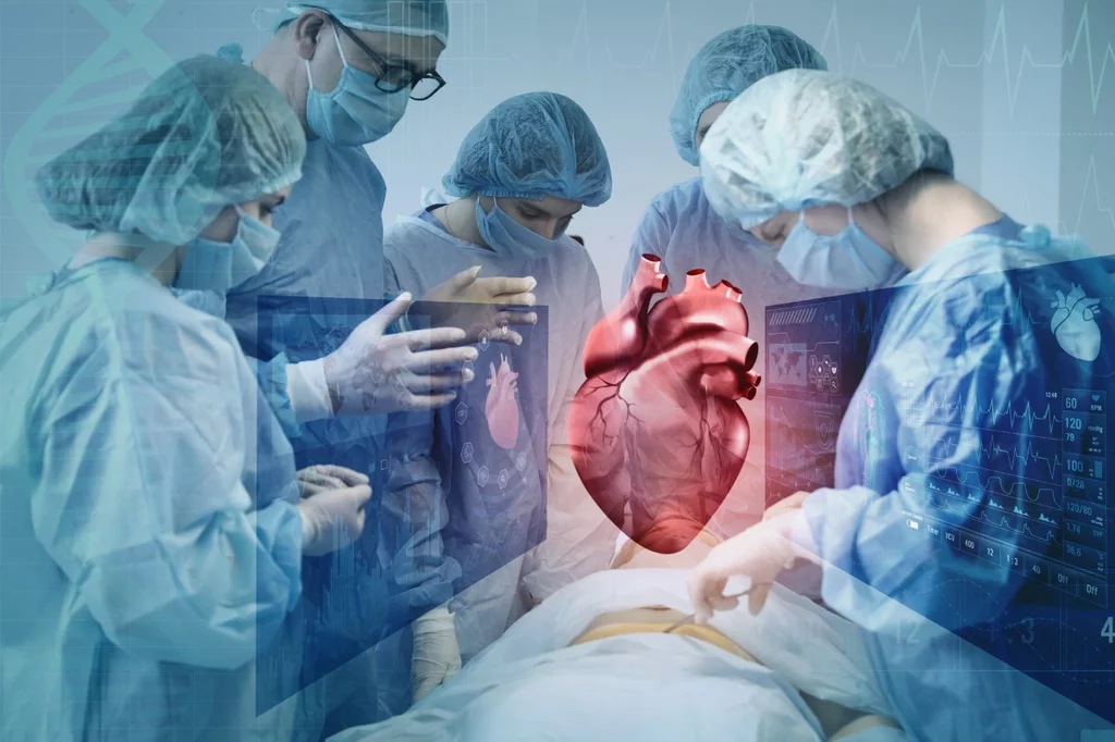 Los 'gemelos digitales' cardiacos ayudan a mejorar el diagnóstico y determinar el tratamiento óptimo. Foto: SHUTTERSTOCK