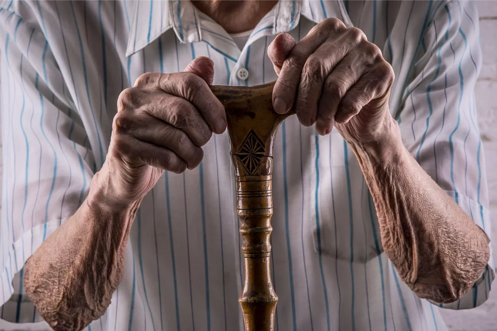 La pérdida de masa muscular puede conllevar a sarcopenia, alteración que afecta a la población anciana. Foto: SHUTTERSTOCK. 