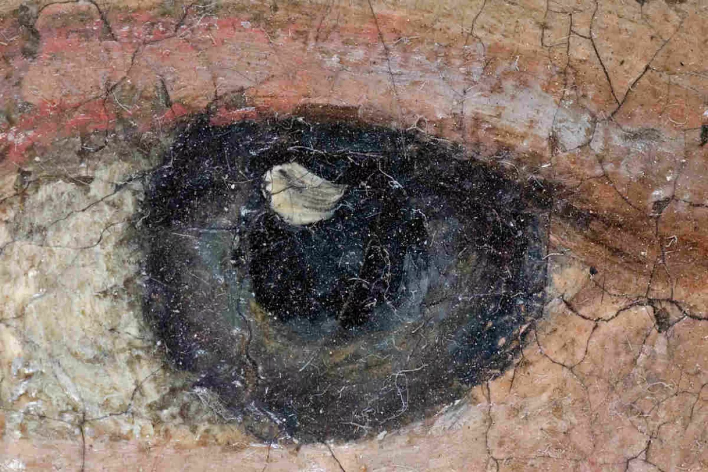 Detalle de un ojo de un cuadro al óleo