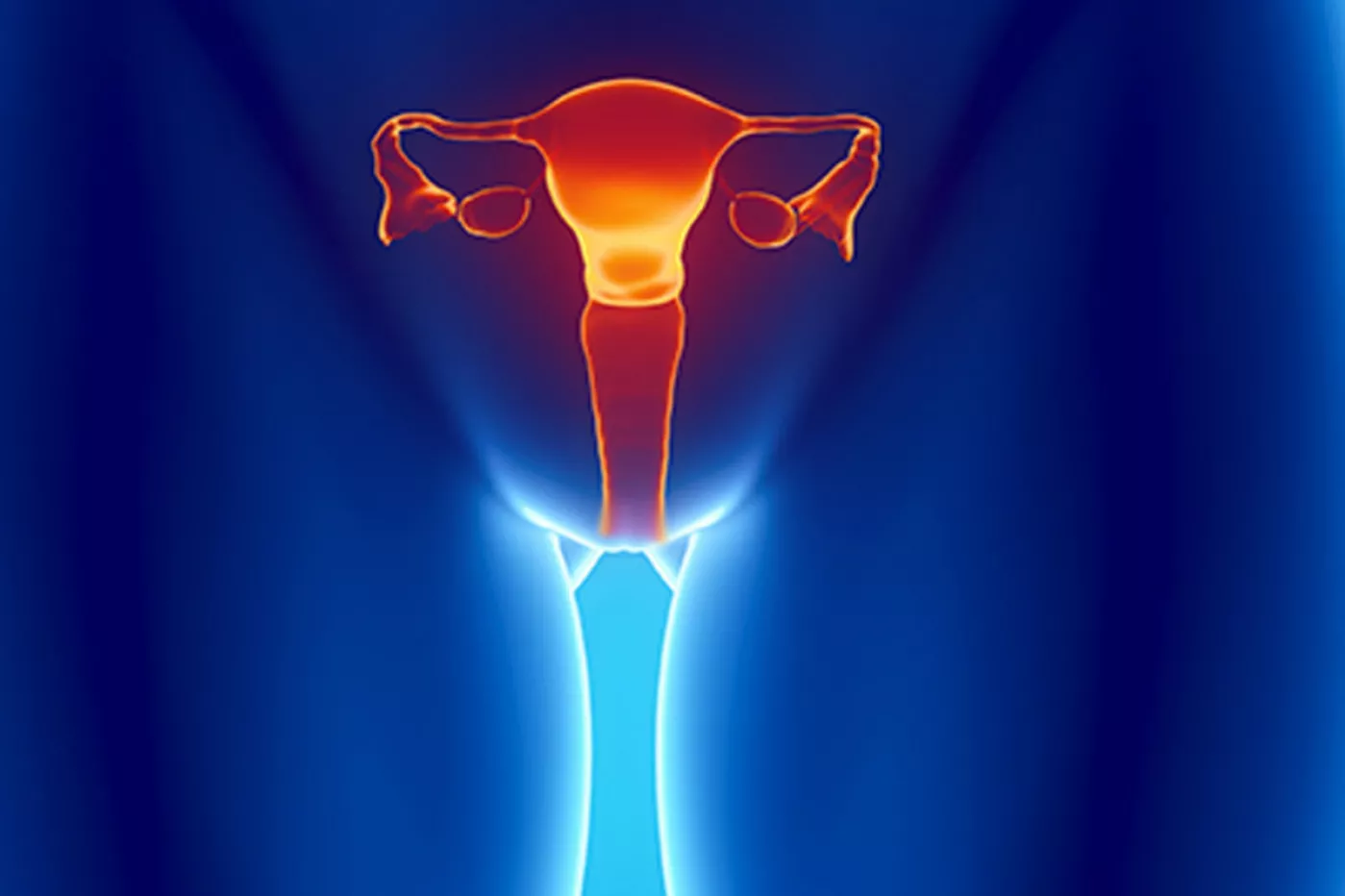 Imagen representativa de un sistema reproductor femenino.