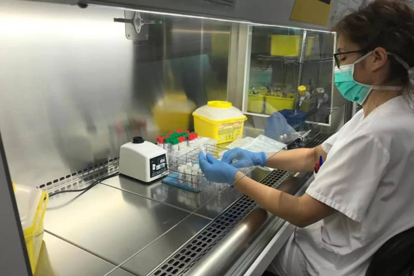 Técnico de laboratorio procesando PCR.