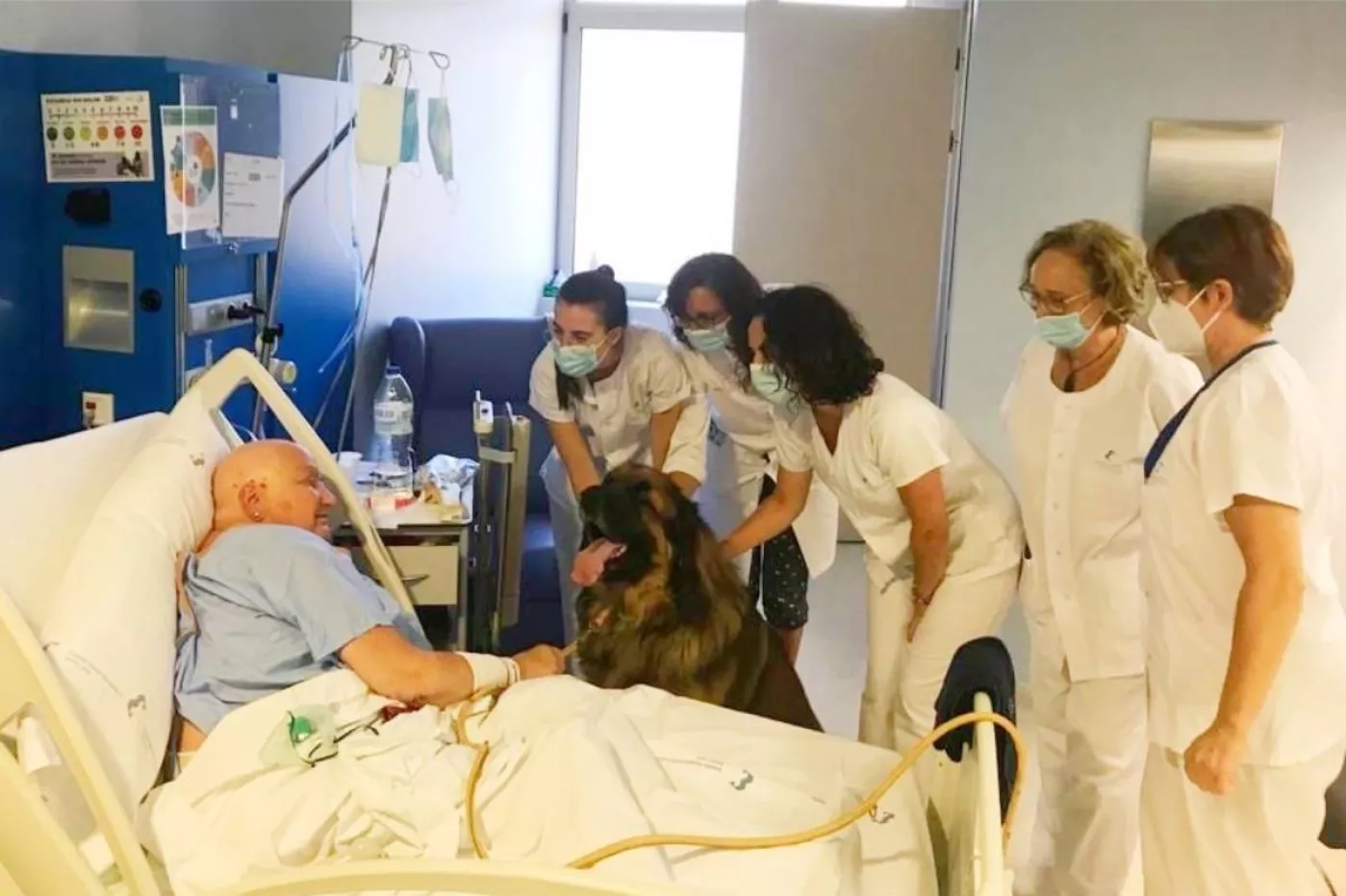 El equipo de Cuidados Paliativos del  Hospital Santa Lucía acompañan al perro del paciente hasta su cama.