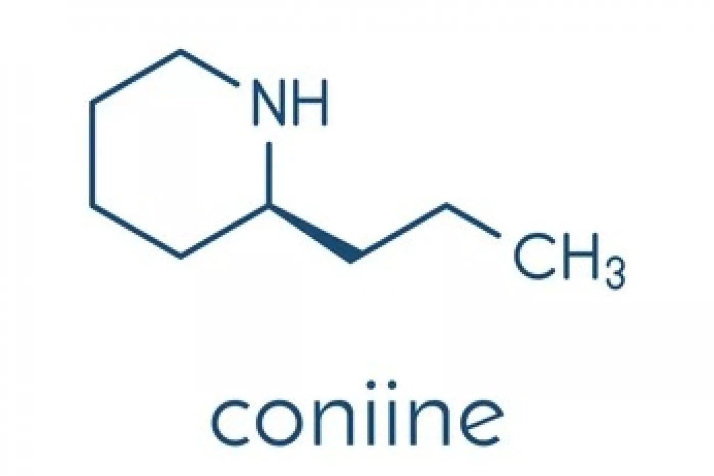 Fórmula química estructural de la coniina.