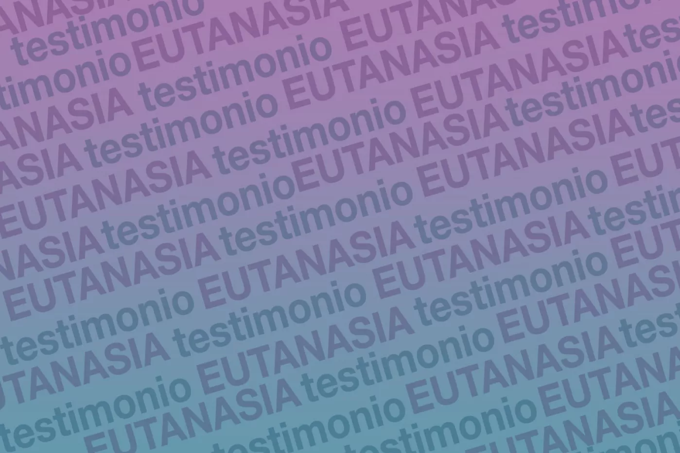 fondo 6