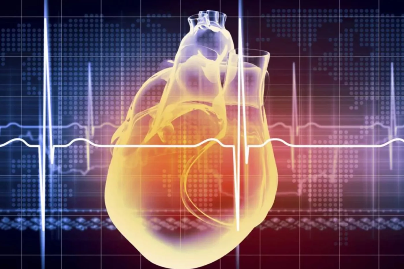 El remodelado patológico de las arterias influye en la aparición de distintas enfermedades cardiovasculares. Foto: DM. 