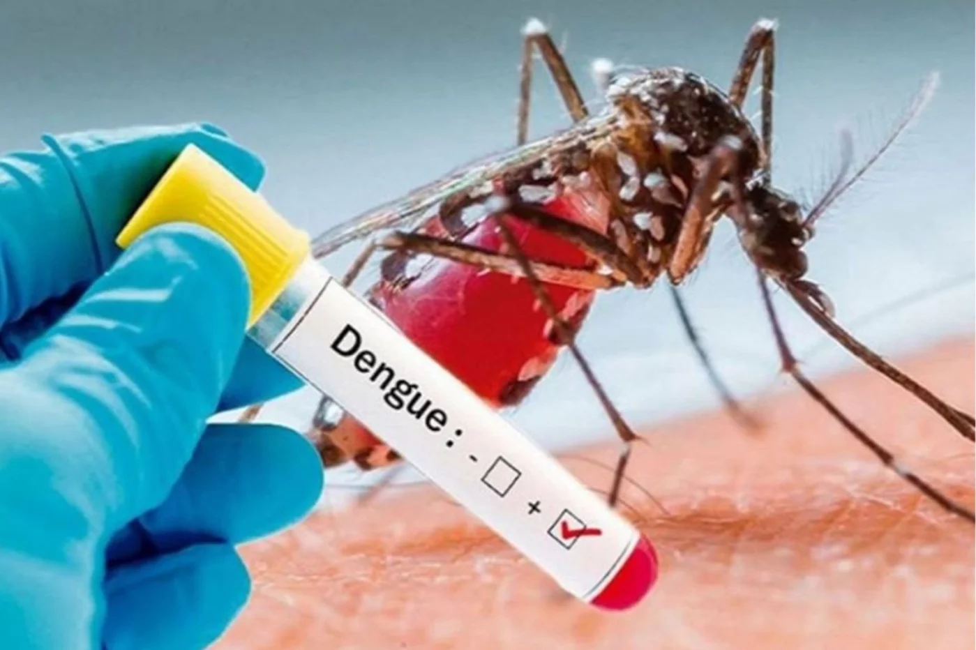 El dengue es una enfermedad vírica transmitida por mosquitos del género 'Aedes'.