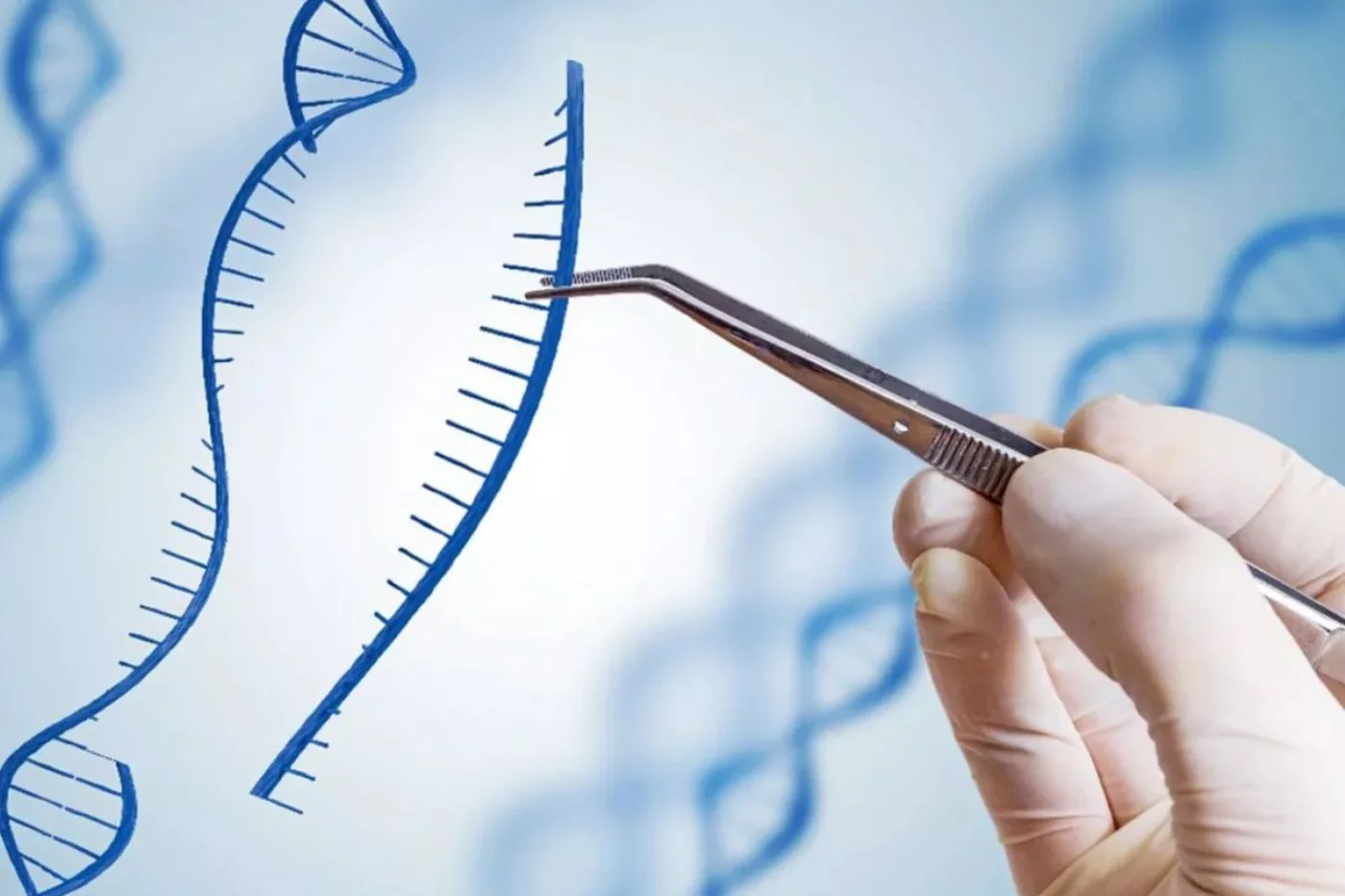 La herramienta de edición genética CRISPR resulta de gran ayuda para variadas enfermedades. Foto: DM. 