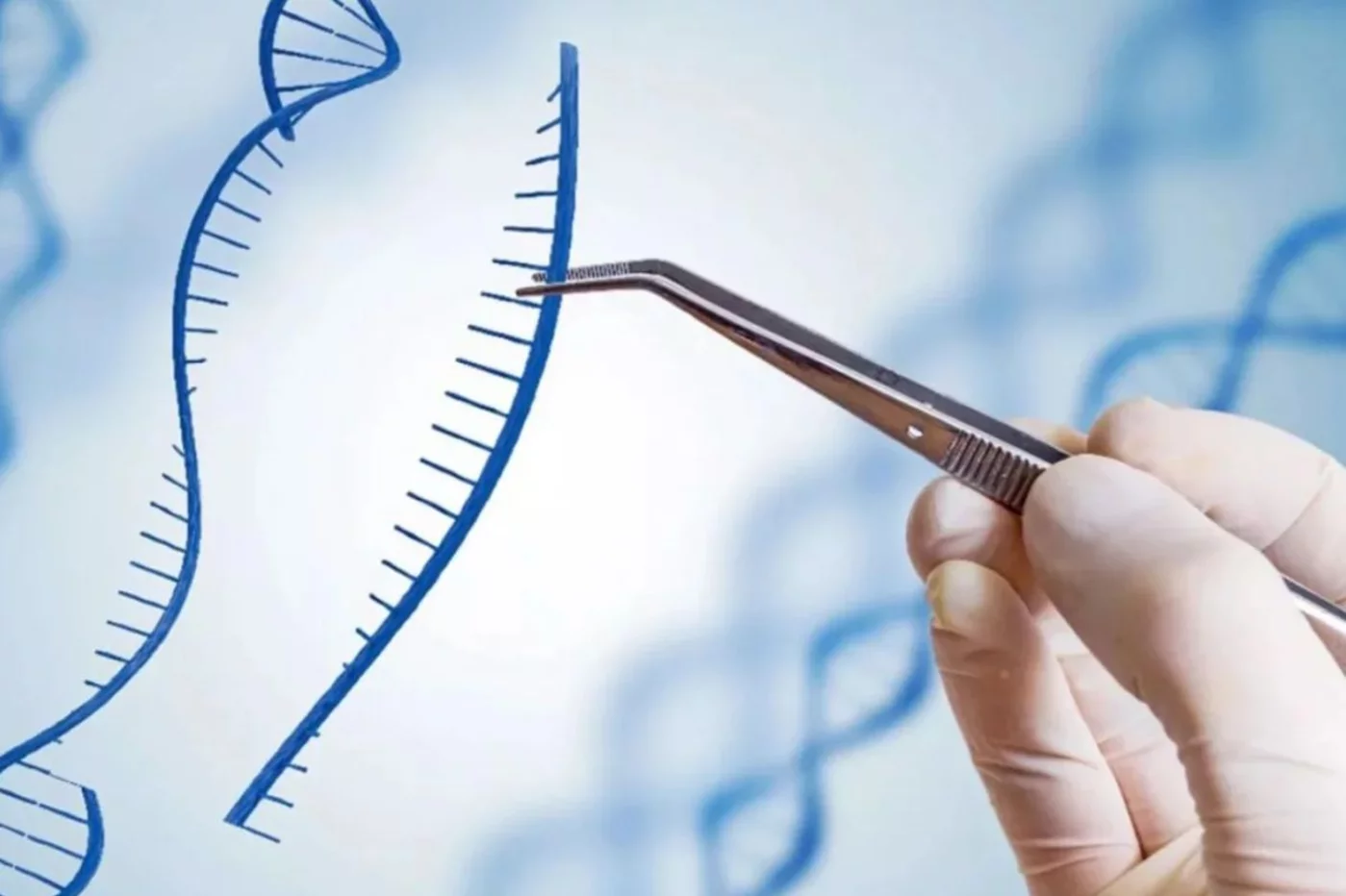 La tecnología de edición genética CRISPR ha supuesto una revolución en el ámbito científico. Foto: DM. 