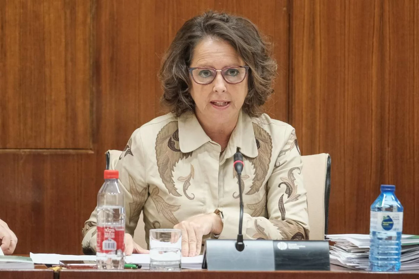 Catalina García, consejera de Salud de Andalucía, durante una comparecencia en el Parlamento andaluz ante la Comisión de Sanidad. Foto: JUNTA DE ANDALUCÍA