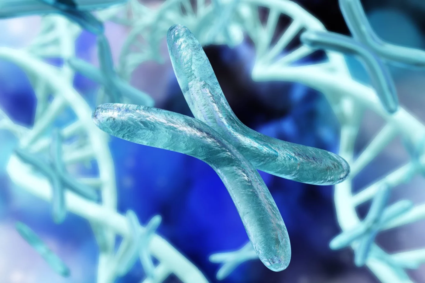 El gen ‘DOCK11’ se encuentra en el cromosoma X. Foto: SHUTTERSTOCK.