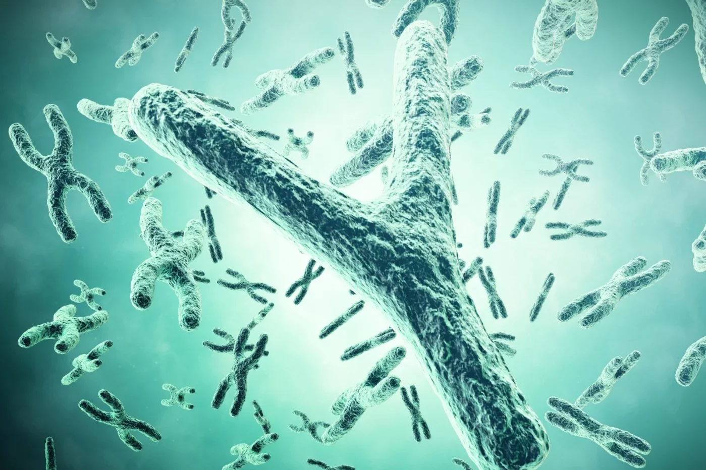 El cromosoma Y humano era el último que quedaba por secuenciar de un modo completo. Foto: SHUTTERSTOCK.