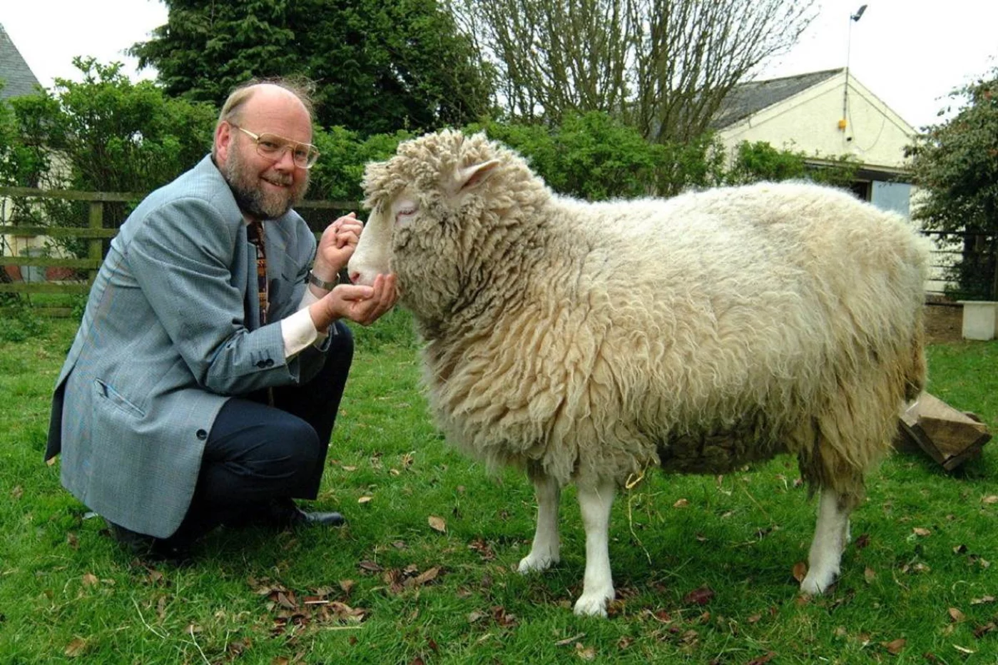 El biólogo Ian Wilmut con la oveja 'Dolly' en el 15º aniversario de su clonación. Foto: EFE