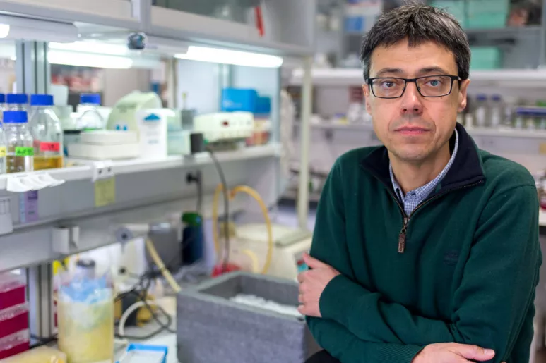 Felipe Pimentel Muiños en el Centro de Investigación del Cáncer, Instituto de Biología Molecular y Celular del Cáncer (CSIC-Universidad de Salamanca).