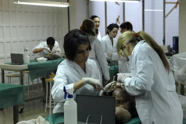 Estudiantes de Medicina en prácticas de Anatomía de la Facultad de Medicina de la Univesidad Complutense de Madrid.
