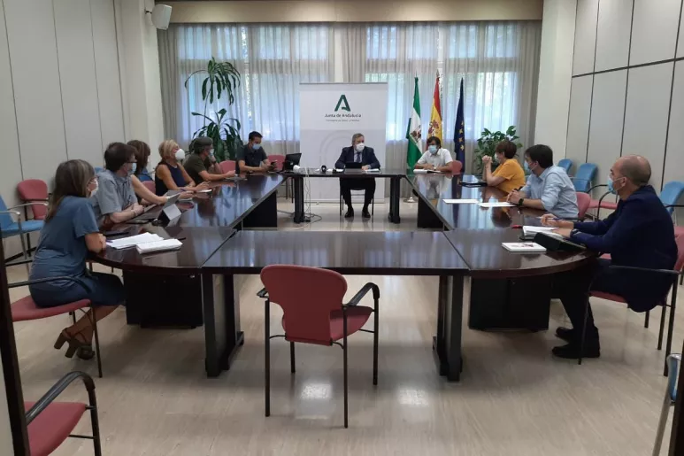 Grupo de expertos para el Plan Estratégico Contra el Cáncer de Andalucía 2021-25.