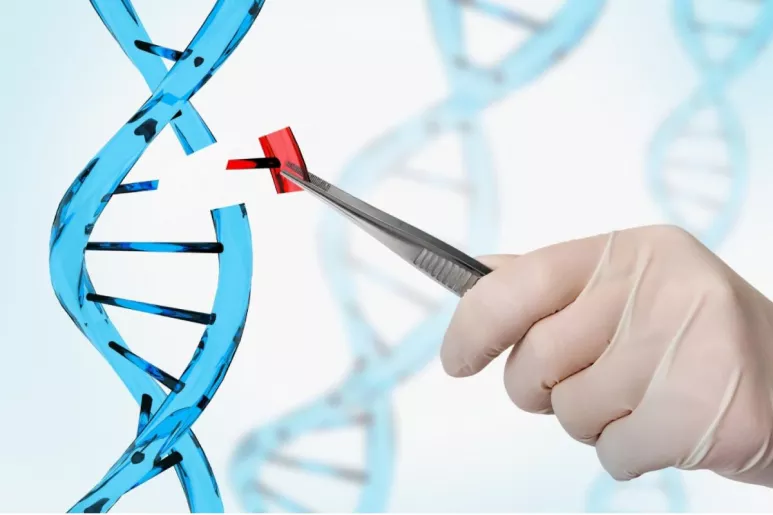 La técnica CRISPR ha sido reconocida con el Nobel de Química 2020. 