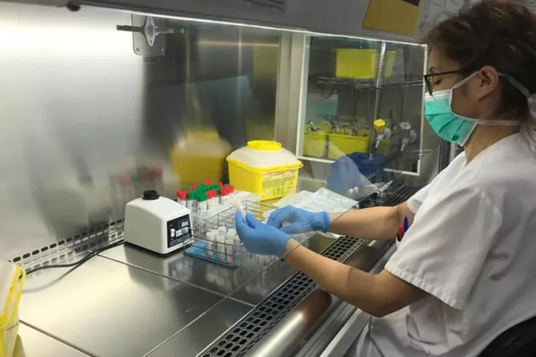 Personal de laboratorio con muestras para pruebas covid.