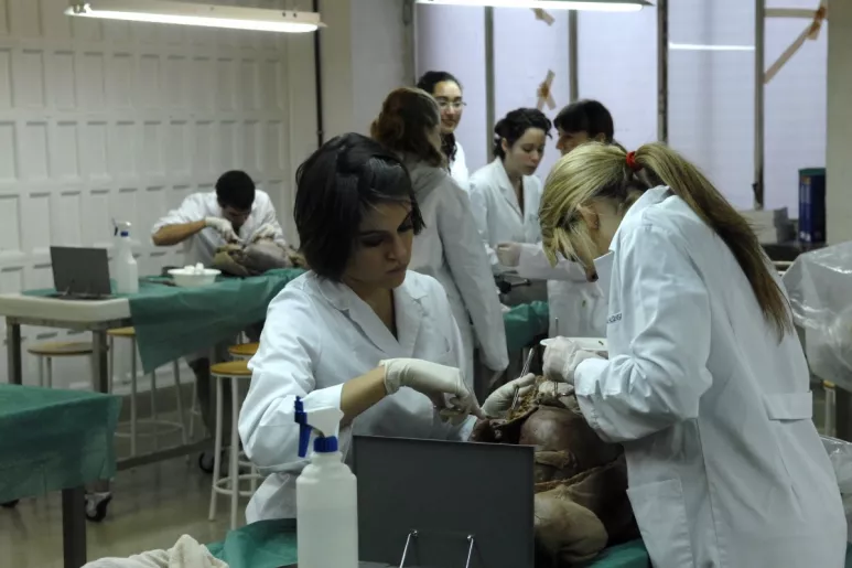 Varias alumnas de Medicina hacen prácticas en el depósito de cadáveres de la Facultad de Medicina de la UCM (FOTO: DM).