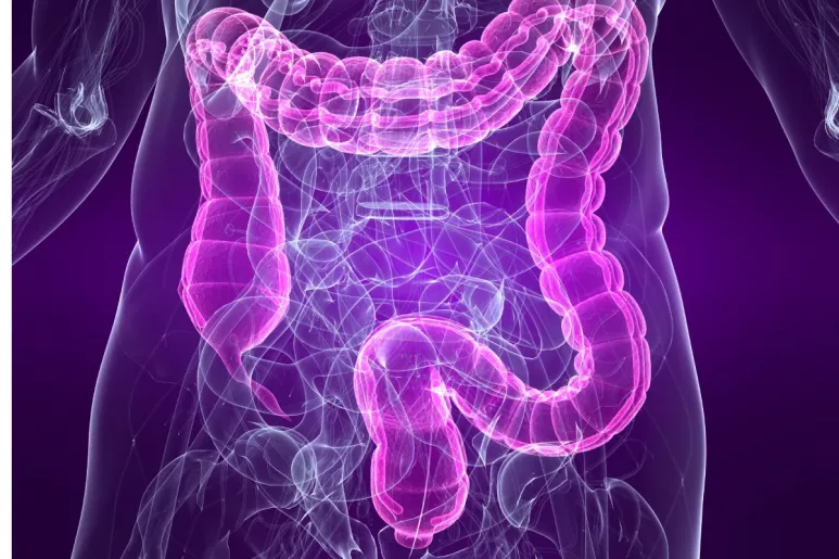 El síndrome de intestino irritable produce diarrea, hinchazón y malestar abdominal. FOTO: CIC BioGUNE. 
