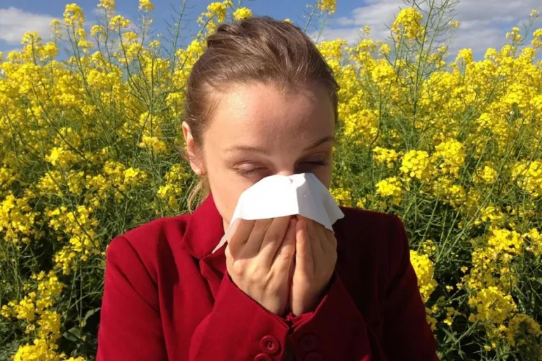 Uno de cada cinco ciudadanos sufre en algún momento de su vida una enfermedad alérgica.