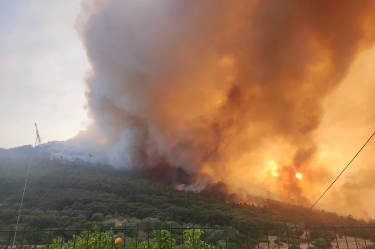 Incendio declarado en Cáceres. Foto: COF DE CÁCERES.