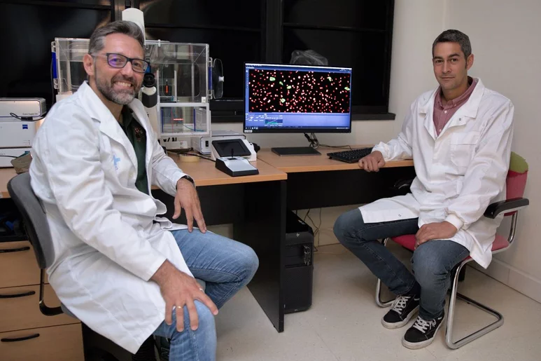 Los investigadores Gabriel Bretones y Alejandro Piñeiro, ambos del Departamento de Bioquímica y Biología Molecular de la Universidad de Oviedo. Foto: UNIVERSIDAD DE OVIEDO. 