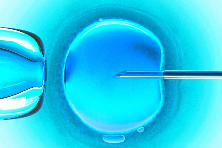 El procedimiento utiliza genes de tres personas diferentes para desarrollar un embrión.