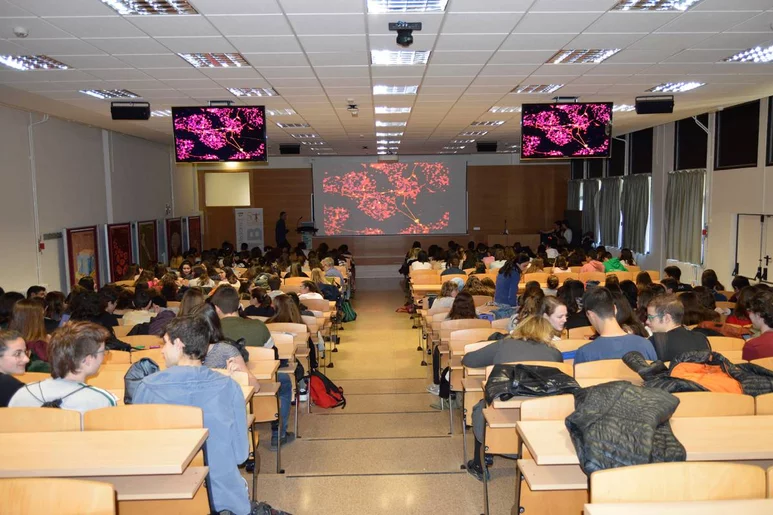 Aspecto general de una de las aulas de la Facultad de Medicina de la Universitat Autònoma de Barcelona (UAB). Foto: UAB.